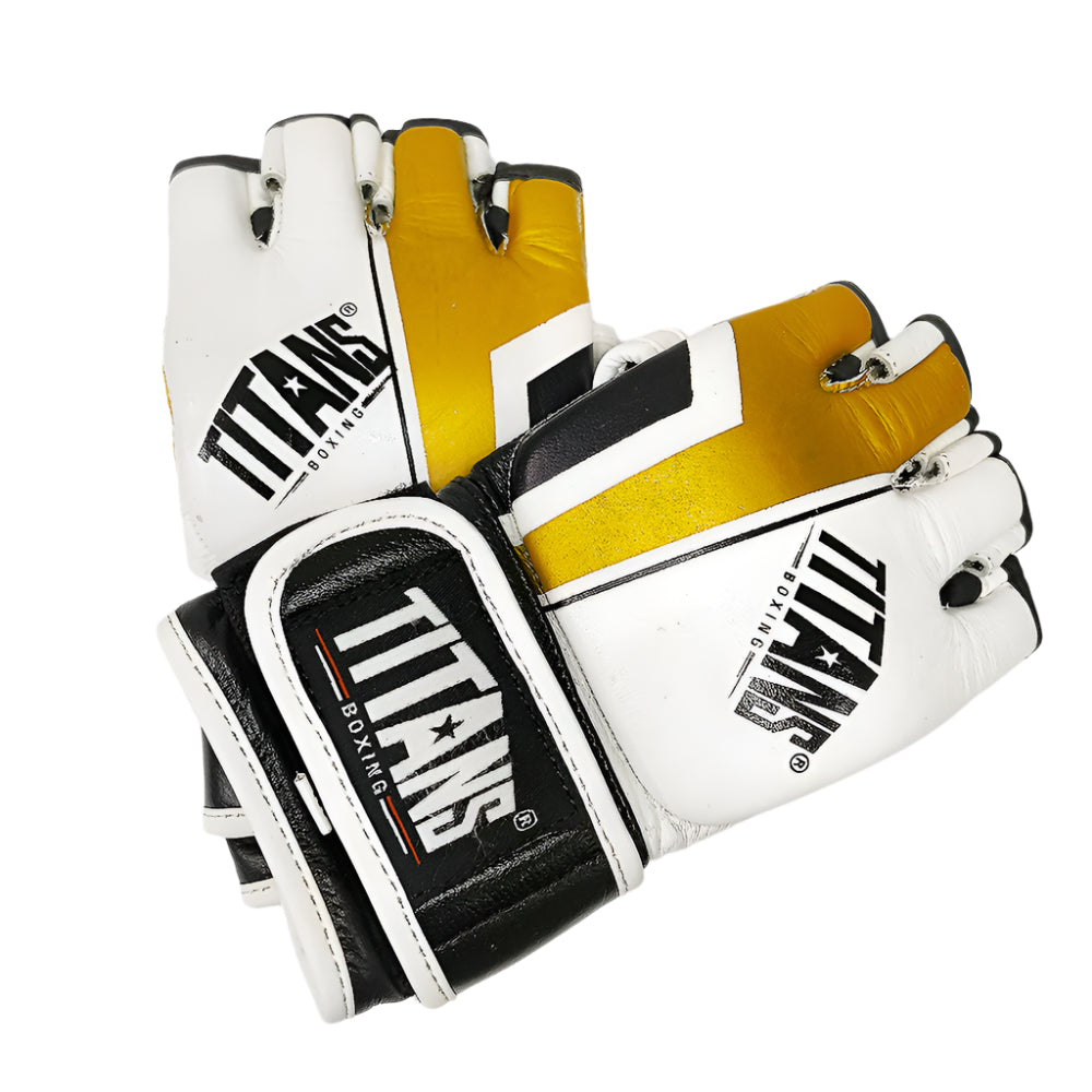 Titans MMA Fighter Gloves