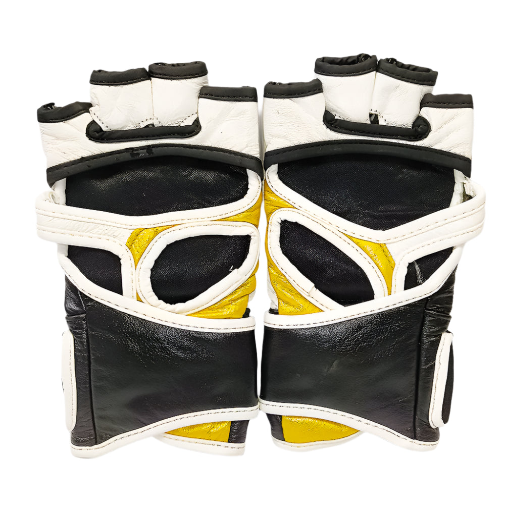 Titans MMA Fighter Gloves