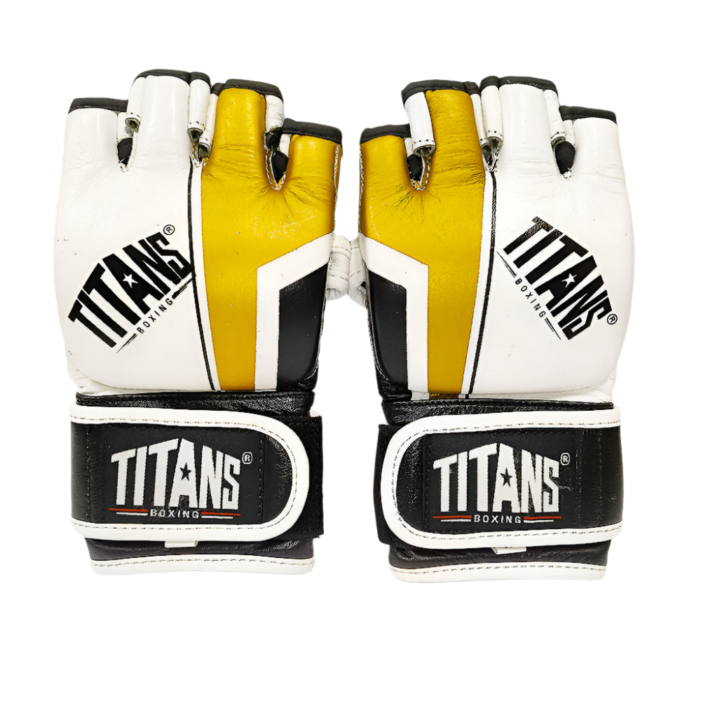 Titans MMA Fighter Gloves