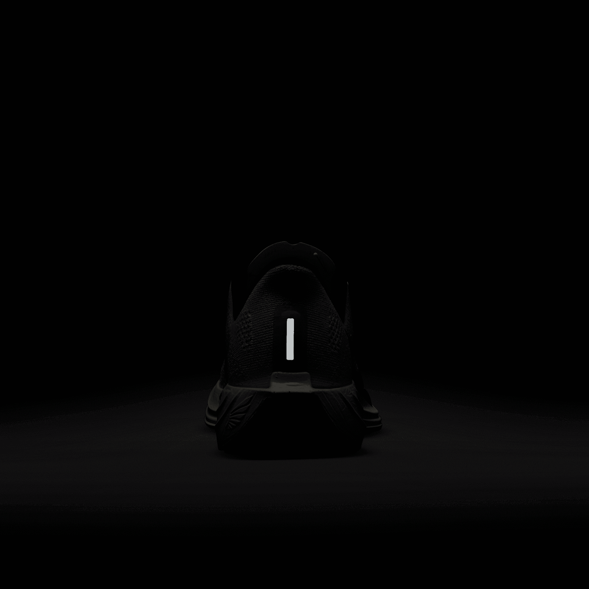 Nike Women's Pegasus Plus Road Running Shoes