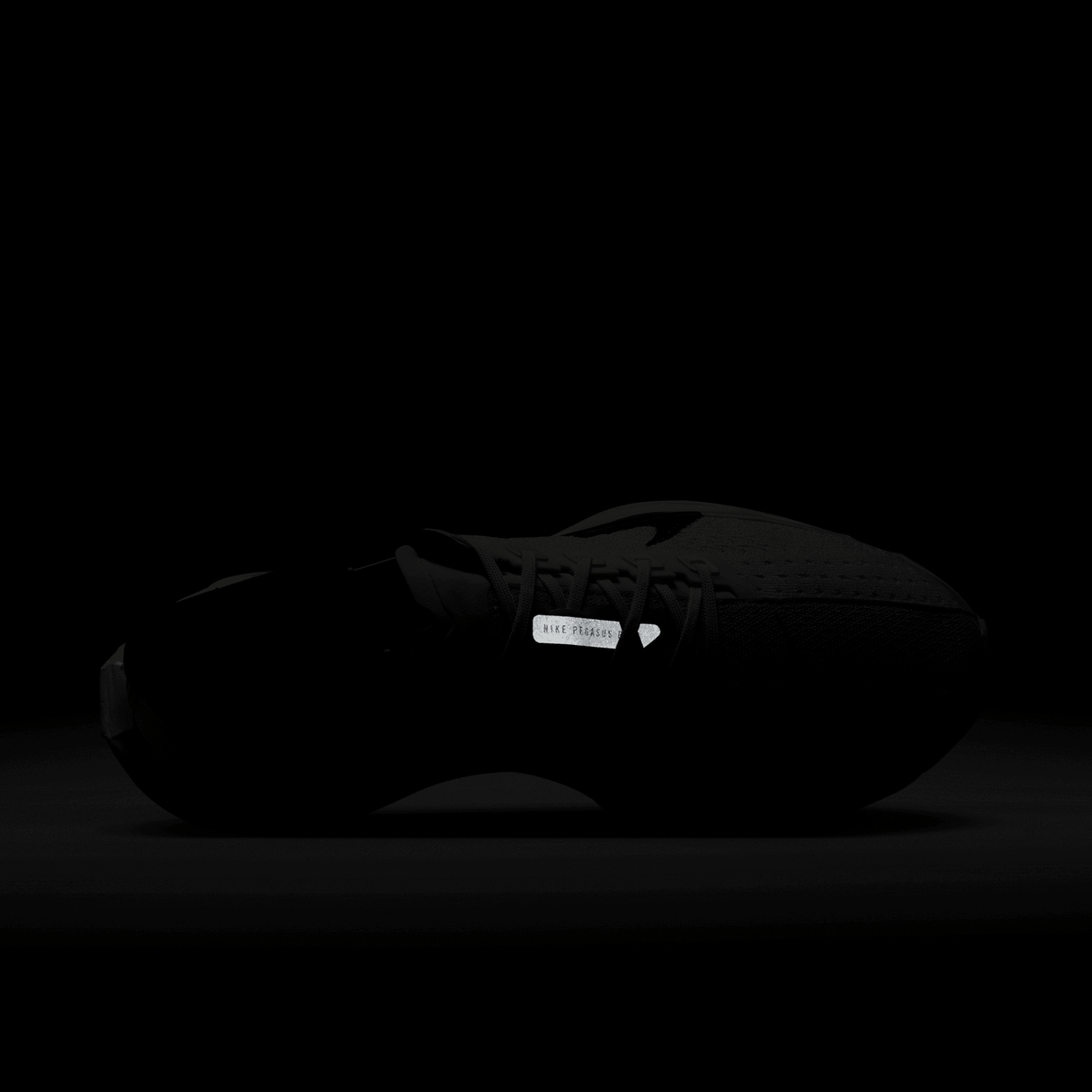 Nike Women's Pegasus Plus Road Running Shoes