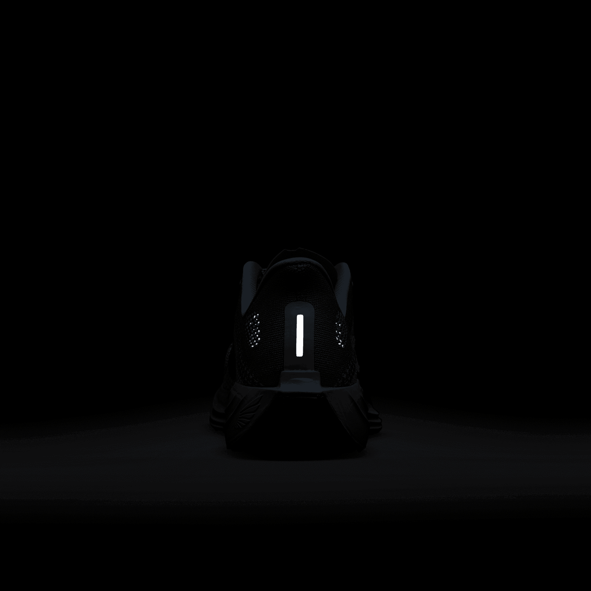 Nike Men's Pegasus Plus Running Shoes