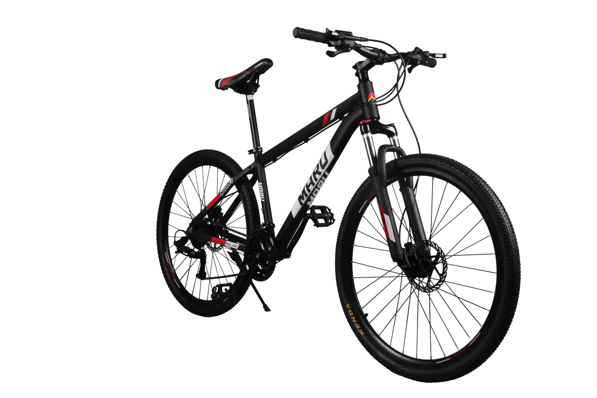 Maru Shiba 2000 Mountain Bike