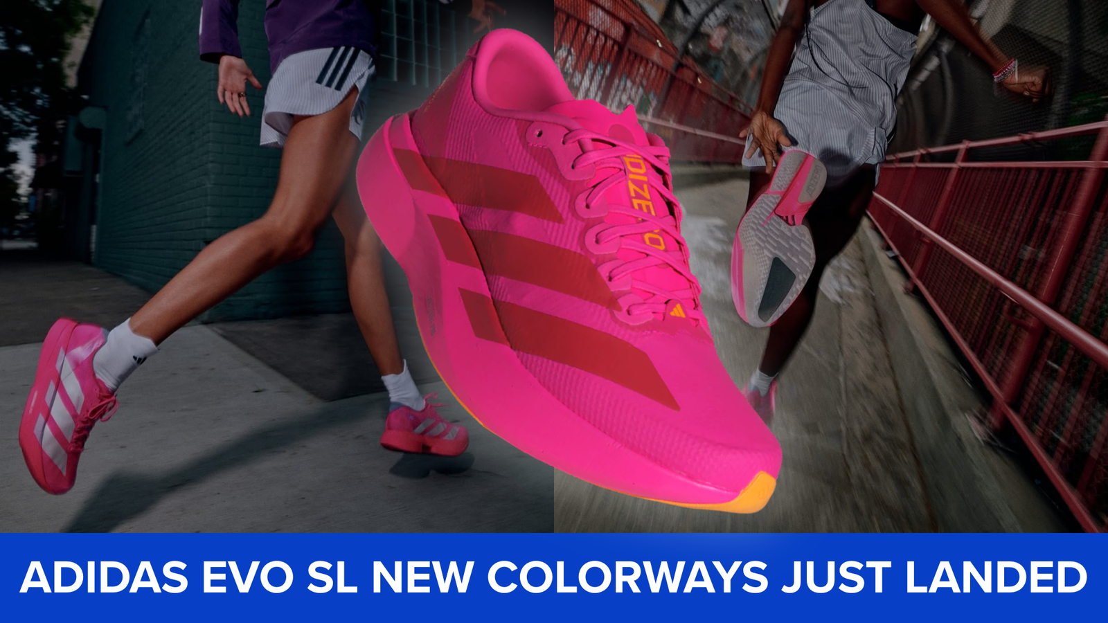 adidas Evo SL New Colorways Just Landed