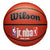 Wilson NBA Jr. Family Indoor/Outdoor Basketball Size 6