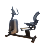 Champion EE Sonic 8356 Recumbent Bike