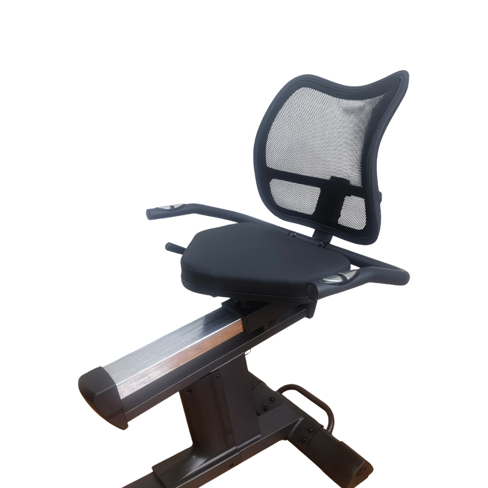 Champion EE Sonic 8356 Recumbent Bike