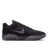 LeBron Witness IX EP Basketball Shoes
