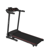 Champion EE Focus 9227i Motorized Treadmill