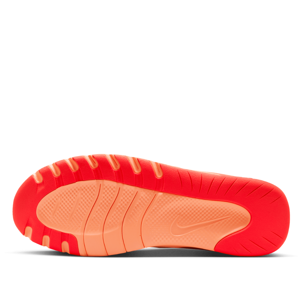 Nike Men's Flex Train Workout Shoes