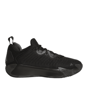 Basketball Shoes