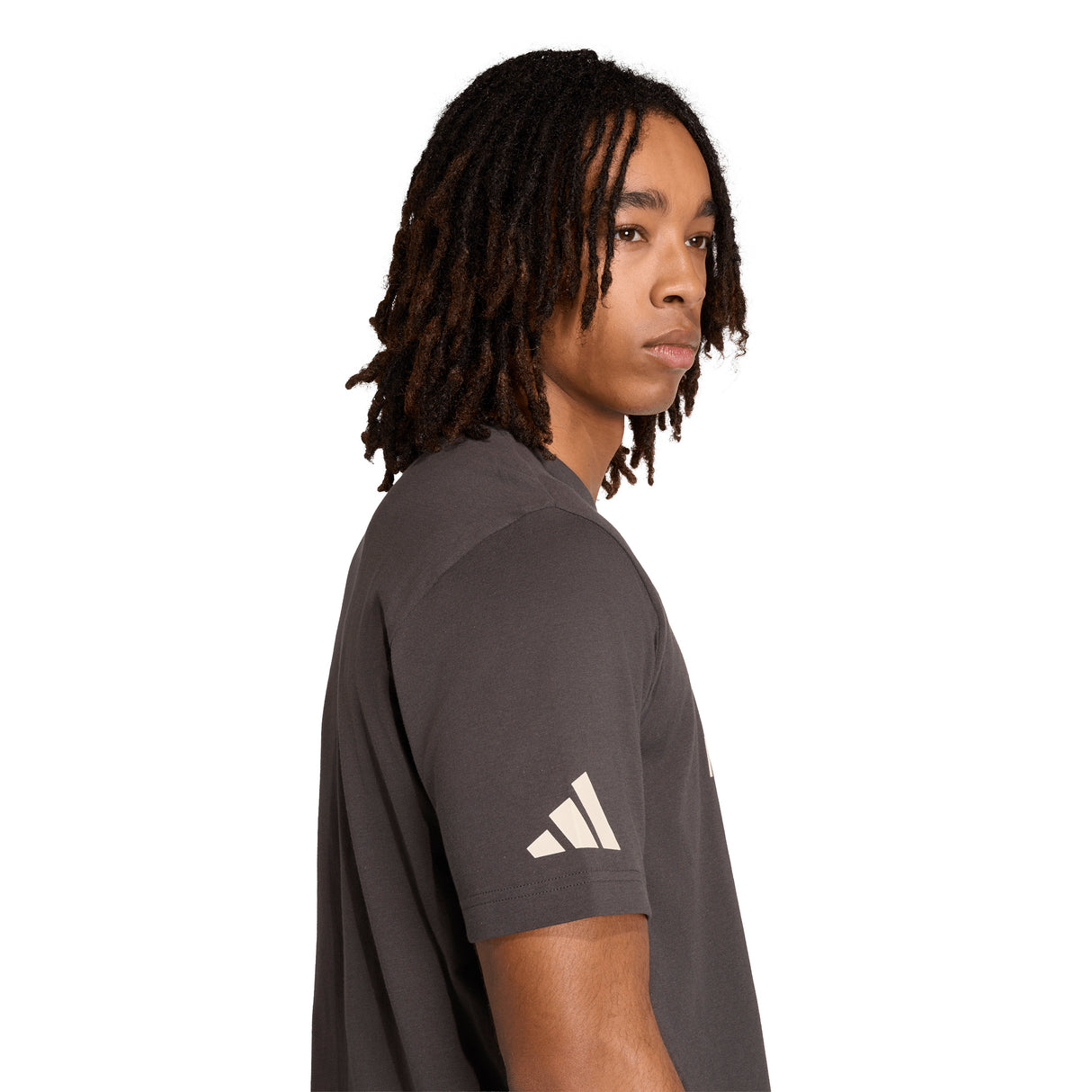 adidas Men's Audi Revolut F1 Team DNA Graphic Tee