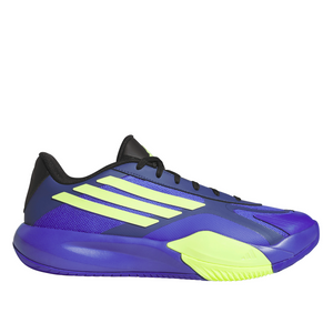 Basketball Shoes