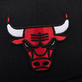 FexPro Men's NBA Basic Cap Flat - Bulls