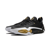 LI-NING Wade All City 14 "RING OF FIRE" Basketball Shoes