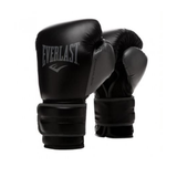 Everlast Powerlock 2 Training Gloves