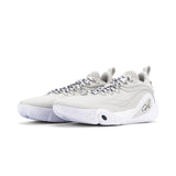 LI-NING Dlo 1 "Cool Grey" Basketball Shoes