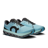 ON Men's Cloudflow 5 Running Shoes