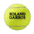 Wilson Roland Garros All CT 3 Ball Tennis Ball WRT126400