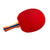 Butterfly RDJ TTN S3 Table Tennis Racket