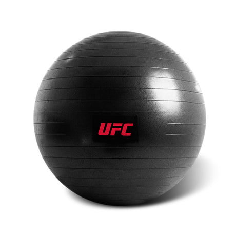 UFC Fitball